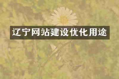 辽宁网站建设优化用途