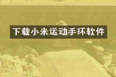 下载小米运动手环软件