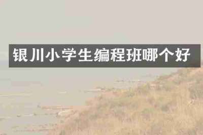 银川小学生编程班哪个好
