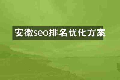 安徽seo排名优化方案
