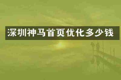 深圳神马首页优化多少钱