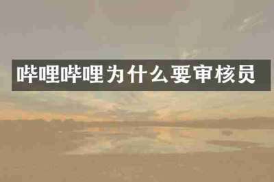哔哩哔哩为什么要审核员