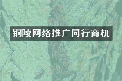 铜陵网络推广同行商机