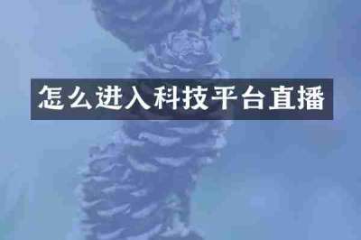 怎么进入科技平台直播