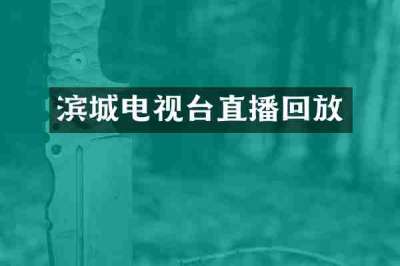 滨城电视台直播回放
