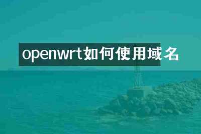 openwrt如何使用域名