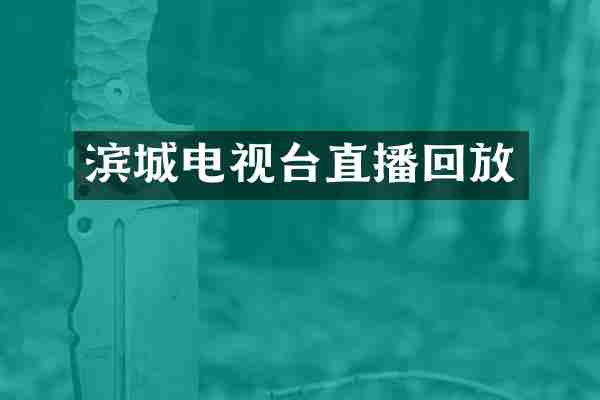 滨城电视台直播回放