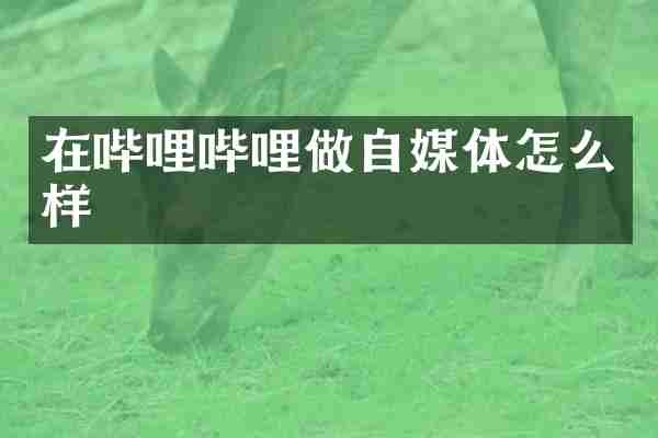 在哔哩哔哩做自媒体怎么样