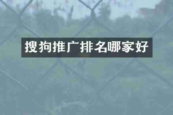 搜狗推广排名哪家好