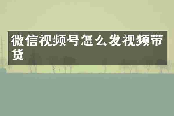 微信视频号怎么发视频带货