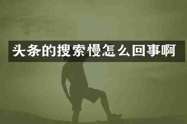 头条的搜索慢怎么回事啊