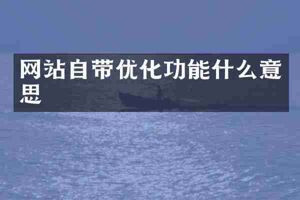 网站自带优化功能什么意思