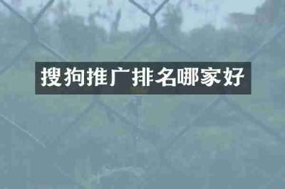搜狗推广排名哪家好