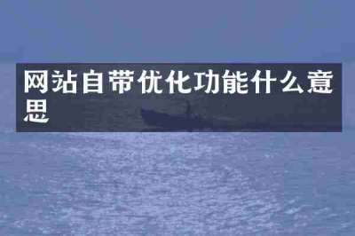 网站自带优化功能什么意思