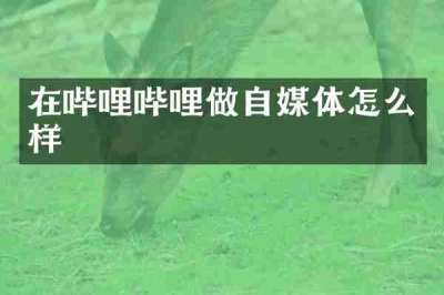 在哔哩哔哩做自媒体怎么样