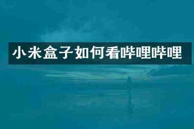 小米盒子如何看哔哩哔哩