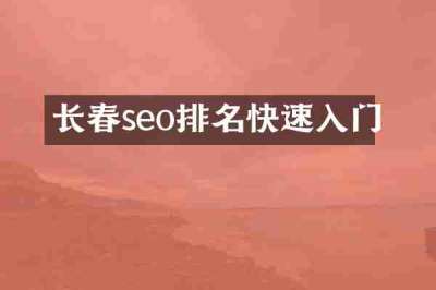 长春seo排名快速入门