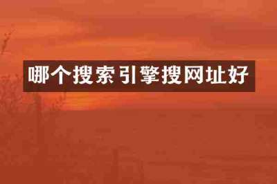 哪个搜索引擎搜网址好