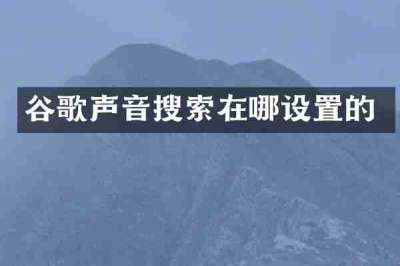 谷歌声音搜索在哪设置的
