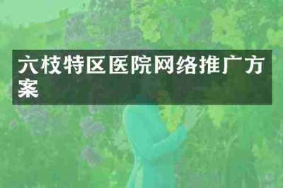 六枝特区医院网络推广方案