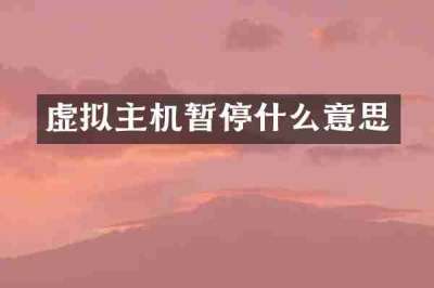 虚拟主机暂停什么意思