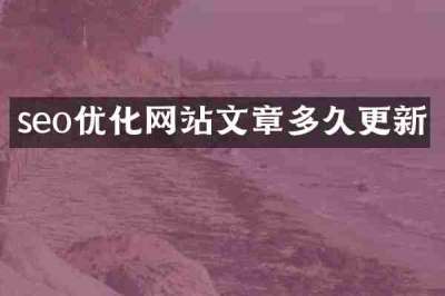 seo优化网站文章多久更新