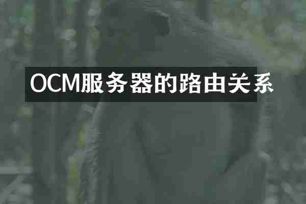 OCM服务器的路由关系