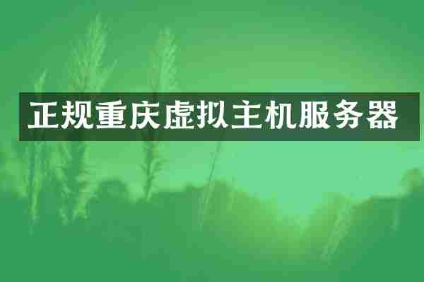 正规重庆虚拟主机服务器