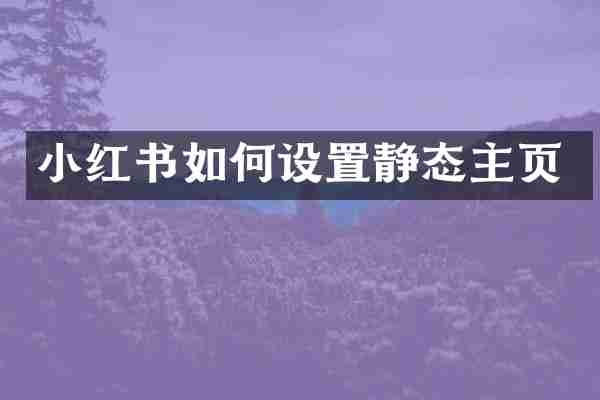 小红书如何设置静态主页