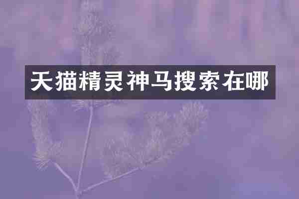 天猫精灵神马搜索在哪