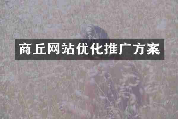 商丘网站优化推广方案