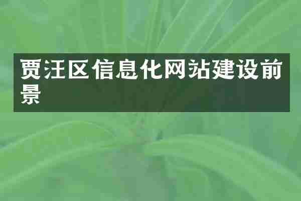 贾汪区信息化网站建设前景