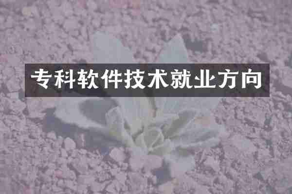 专科软件技术就业方向