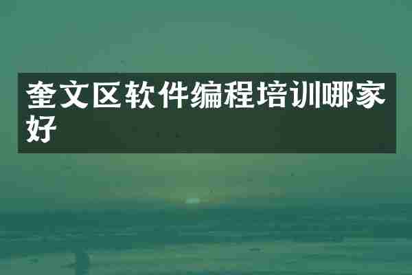 奎文区软件编程培训哪家好