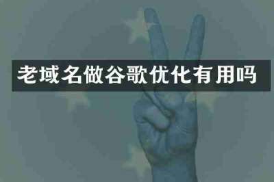 老域名做谷歌优化有用吗