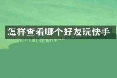 怎样查看哪个好友玩快手