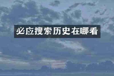 必应搜索历史在哪看