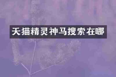 天猫精灵神马搜索在哪