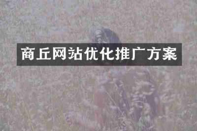 商丘网站优化推广方案