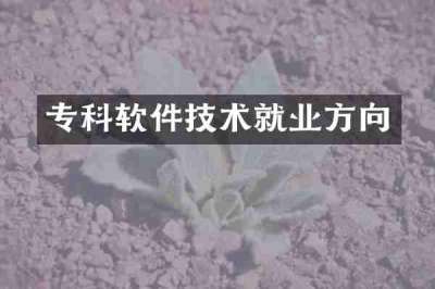 专科软件技术就业方向