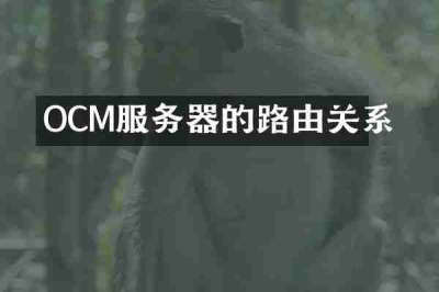 OCM服务器的路由关系