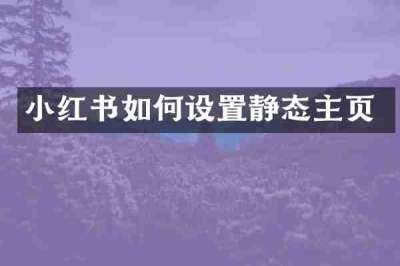 小红书如何设置静态主页
