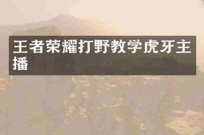 王者荣耀打野教学虎牙主播