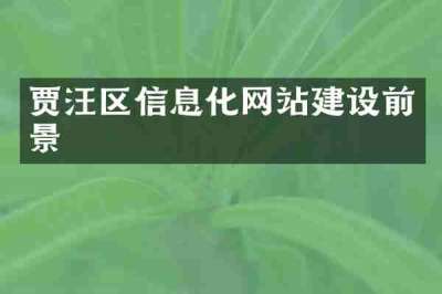 贾汪区信息化网站建设前景
