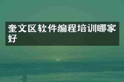 奎文区软件编程培训哪家好
