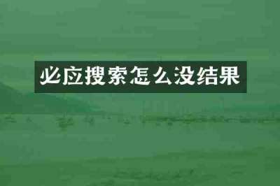 必应搜索怎么没结果