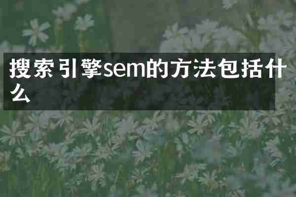 搜索引擎sem的方法包括什么
