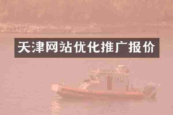 天津网站优化推广报价