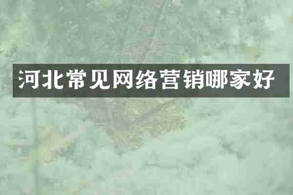 河北常见网络营销哪家好