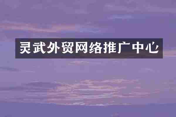 灵武外贸网络推广中心